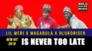 Lil Meri - Is Never Too Late Ft. Magabula & Hlukoriser